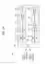 Fig. 17 - Method and user equipment for removing interference in wireless communication system