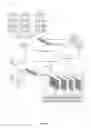 Fig. 02 - Network function virtualization management system