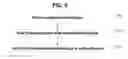 Fig. 06 - Systems and methods for authenticating photographic image data