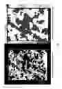 Fig. 59 - Systems and methods for efficiently generating a geospatial data map for use in agricultural operations