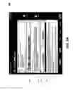 Fig. 08 - Router-host logging