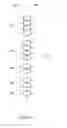Fig. 06 - Multipin Variable Rate Interface