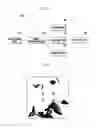 Fig. 02 - Portable device and method for taking images therewith