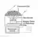 Fig. 01 - Biomimetic integrated optical sensor (BIOS) system