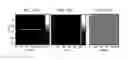 Fig. 32 - Method and apparatus for on-chip per-pixel pseudo-random time coded exposure