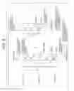 Fig. 09 - High efficiency video coding device and method based on reference picture type