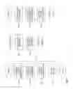 Fig. 07 - Reference picture signaling