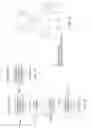 Fig. 09 - Reference picture signaling