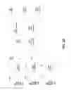 Fig. 05 - Service capability server (SCS) terminated short message service (SMS) systems and methods