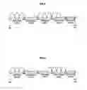 Fig. 03 - Wireless communication apparatus, wireless communication system, wireless communication method and program