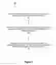Fig. 04 - EFFICIENT CONTENTION BASED DECENTRALIZED PROCEDURE FOR DEVICE TO DEVICE COMMUNICATION