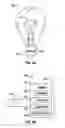 Fig. 05 - Liquid filament for incandescent lights