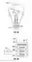 Fig. 06 - Liquid filament for incandescent lights
