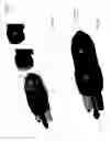 Fig. 02 - Cartridge for a liquid-cooled plasma arc torch