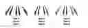 Fig. 01 - BAMBOO PLANTATIONS, FORESTS, AND STANDS AND METHODS OF STRIP OR ROW HARVESTING SAME