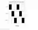 Fig. 03 - BAMBOO PLANTATIONS, FORESTS, AND STANDS AND METHODS OF STRIP OR ROW HARVESTING SAME