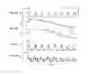 Fig. 22 - Characterization of plant behavior using transpiration rate and water uptake rate