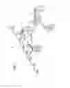 Fig. 02 - Vision-based pollination system