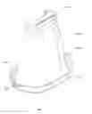 Fig. 22 - URINATION DEVICE AND ELECTRONIC SYSTEM FOR MALE DOG