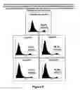 Fig. 07 - Protection of progenitor cells and regulation of their differentiation