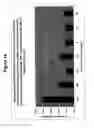 Fig. 15 - Protection of progenitor cells and regulation of their differentiation