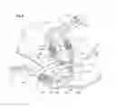 Fig. 04 - ORGAN PERFUSION SYSTEMS