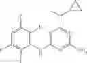 Fig. 28 - Herbicidal combination comprising azines