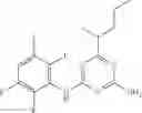 Fig. 29 - Herbicidal combination comprising azines