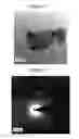 Fig. 08 - COMPOSITIONS, METHODS OF MAKING A COMPOSITION, AND METHODS OF USE