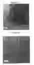 Fig. 09 - COMPOSITIONS, METHODS OF MAKING A COMPOSITION, AND METHODS OF USE