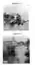 Fig. 12 - COMPOSITIONS, METHODS OF MAKING A COMPOSITION, AND METHODS OF USE