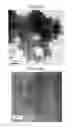 Fig. 29 - COMPOSITIONS, METHODS OF MAKING A COMPOSITION, AND METHODS OF USE