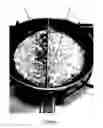 Fig. 02 - LIQUID EDIBLE FRYING MEDIUM