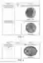 Fig. 02 - LIQUID COMPOSITION FOR FROZEN CONFECTION, METHOD OF PRODUCTION AND PROCESS OF PREPARATION