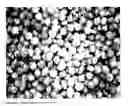 Fig. 03 - Feed compositions comprising and methods of processing and using thereof