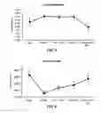 Fig. 04 - PLANT-BASED EGG SUBSTITUTE AND METHOD OF MANUFACTURE