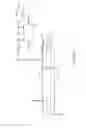 Fig. 06 - DISTILLER GRAIN PRODUCTION DEVICE
