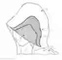 Fig. 01 - Sound insulation structure for a garment