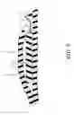 Fig. 04 - Combination knitted hat and earphone assembly