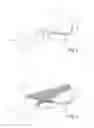 Fig. 03 - CLIMBING SHOE