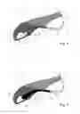 Fig. 04 - CLIMBING SHOE