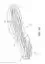 Fig. 13 - Sole structure having auxetic structures and sipes
