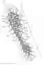 Fig. 01 - Sole structure including sipes