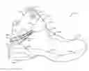 Fig. 01 - Easy access articles of footwear