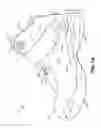 Fig. 02 - Easy access articles of footwear