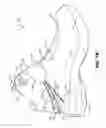 Fig. 03 - Easy access articles of footwear