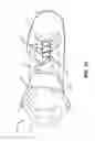 Fig. 04 - Easy access articles of footwear