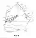Fig. 06 - Easy access articles of footwear