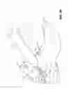 Fig. 10 - Easy access articles of footwear
