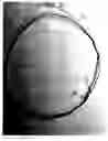 Fig. 04 - Bendable Wire Frame